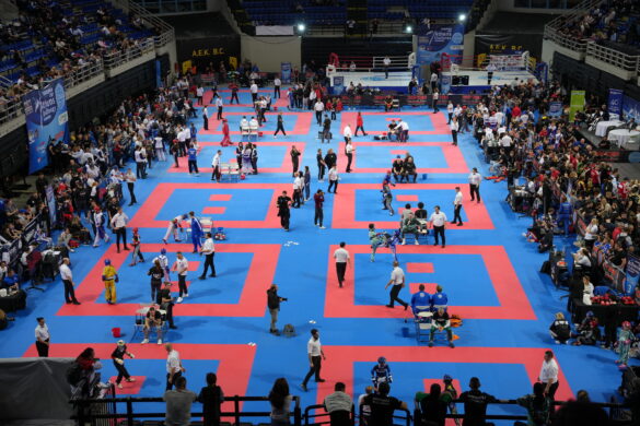 The WAKO Calendar for 2025 has been launched - WAKO Europe